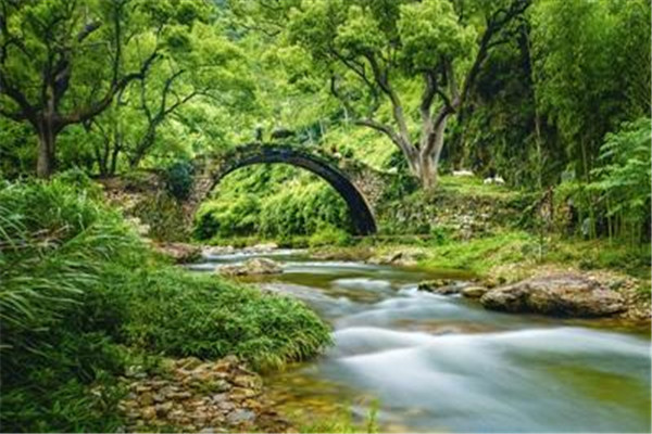 同族侄评事黯游昌禅师山池其二