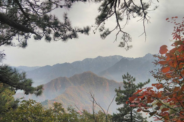 春归终南山松龛旧隐