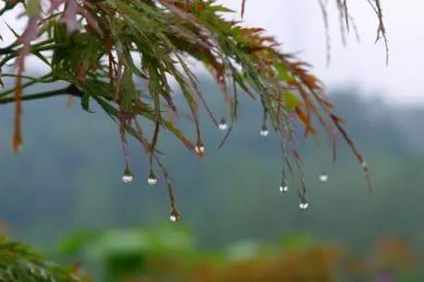 酬裴侍御对雨感时见赠