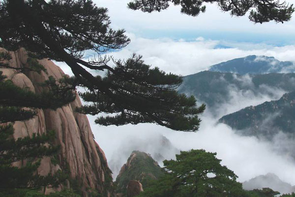 与南陵常赞府游五松山