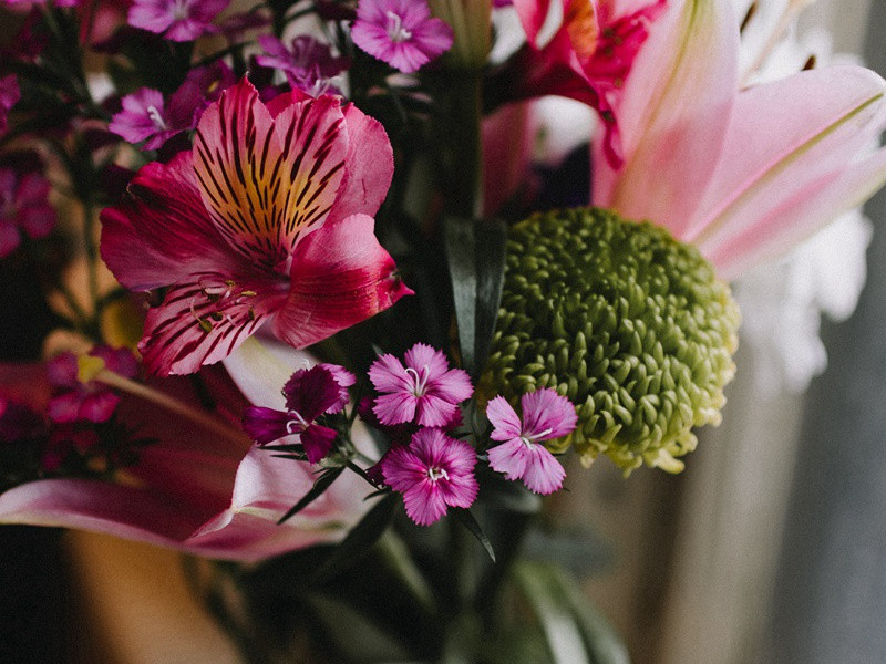 桃花,桃花庵歌