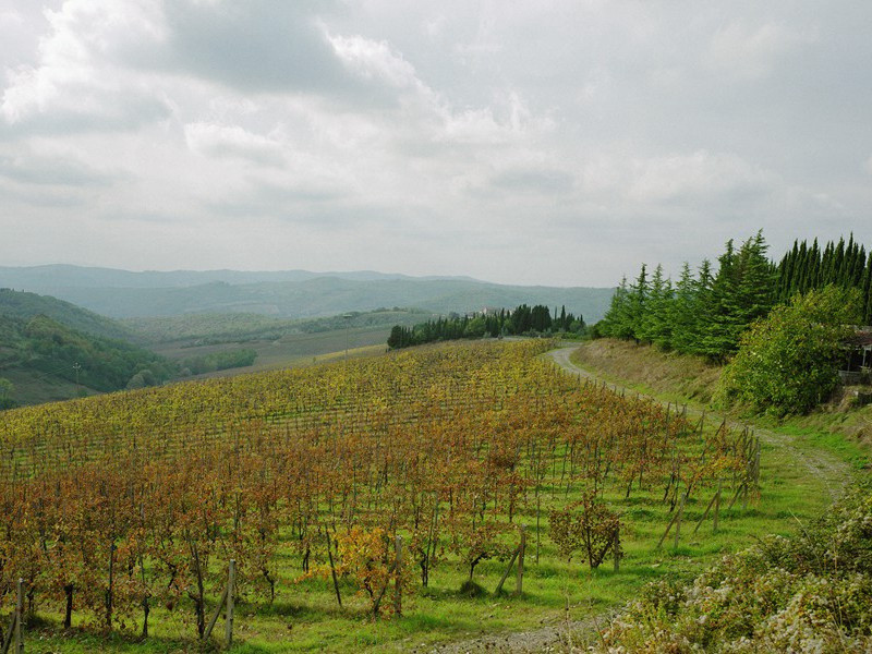 李师中