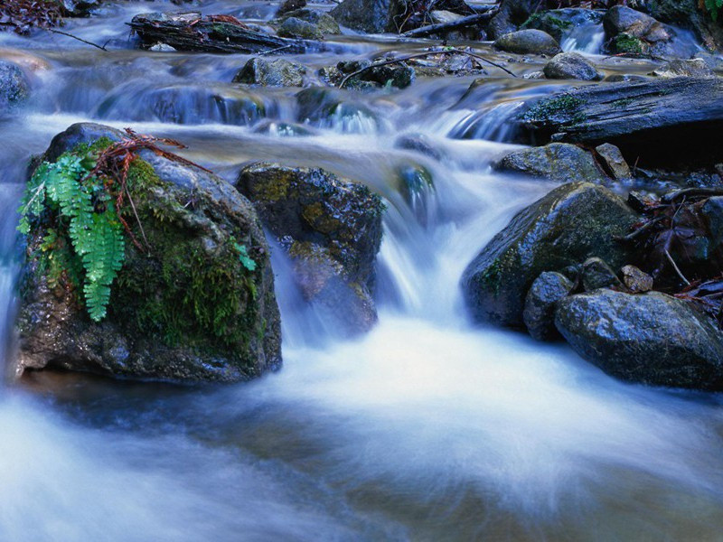 浣溪,浣溪沙,楼上睛天碧四垂