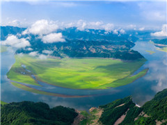 《双鹤俱遨游》原文赏析-曹植古诗-魏晋诗歌