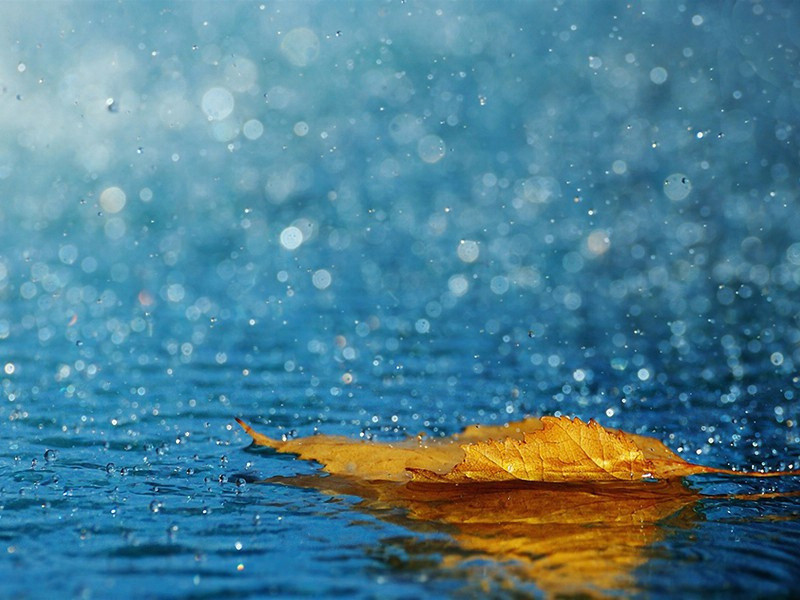 雨暗初疑夜,风回忽报晴的意思出处赏析