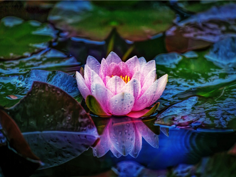 夜雨连明春水生,娇云浓暖弄阴晴的意思出处赏析