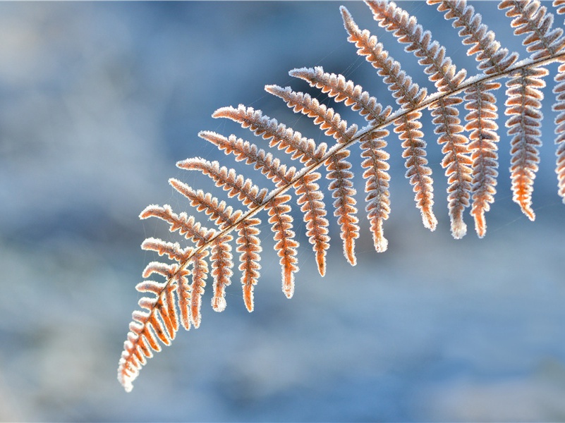 俯瞰黄河小,高悬白雪清的意思出处赏析