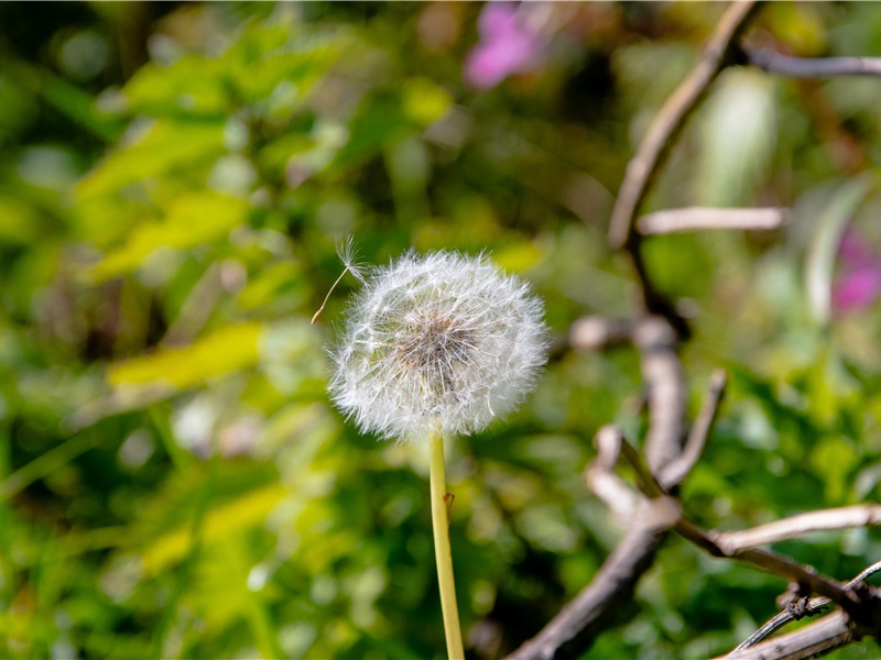 落花人独立,微雨燕双飞的意思出处赏析