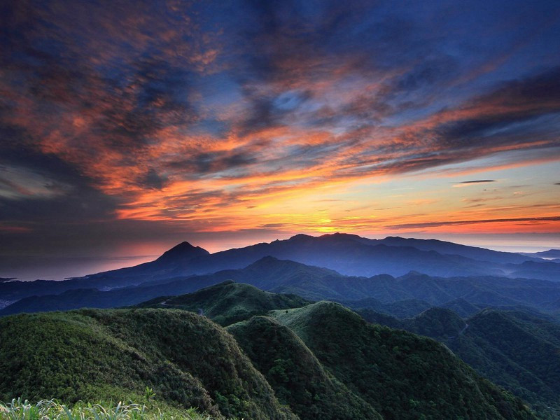 送杨,送杨山人归嵩山