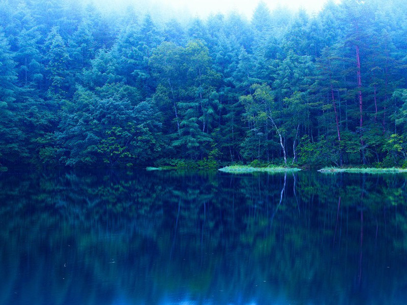 癸丑,癸丑七月二十七夜梦游华岳庙,驿树秋风急