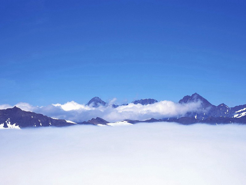 阁雪云低,卷沙风急,惊雁失序的意思出处赏析